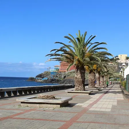 Refugio Madeira Lejlighed