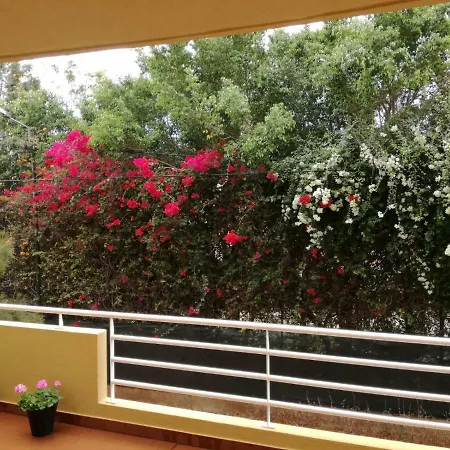 Appartement Refugio Madeira Caniço