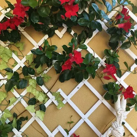 Apartment Refugio Madeira